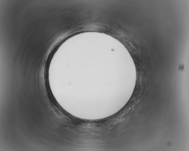 X0000116650244201001111235
