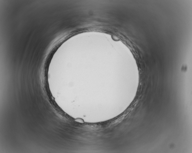 X0000116650245201001111235