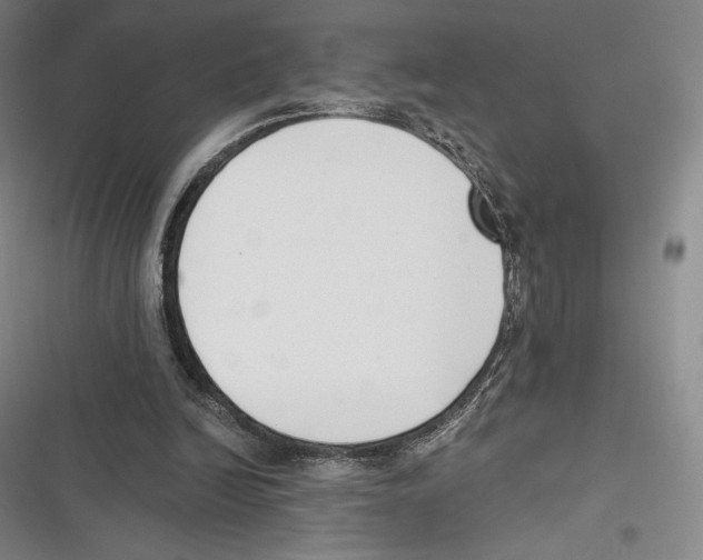 X0000116650246201001111235