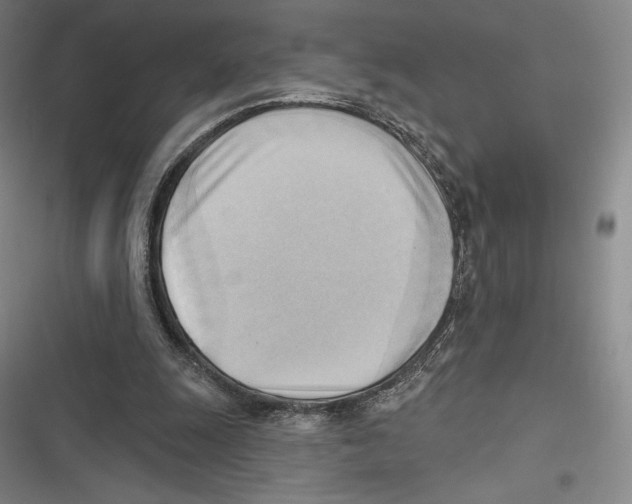 X0000116650247201001111235