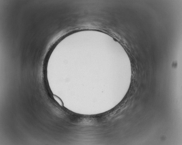 X0000116650248201001111235