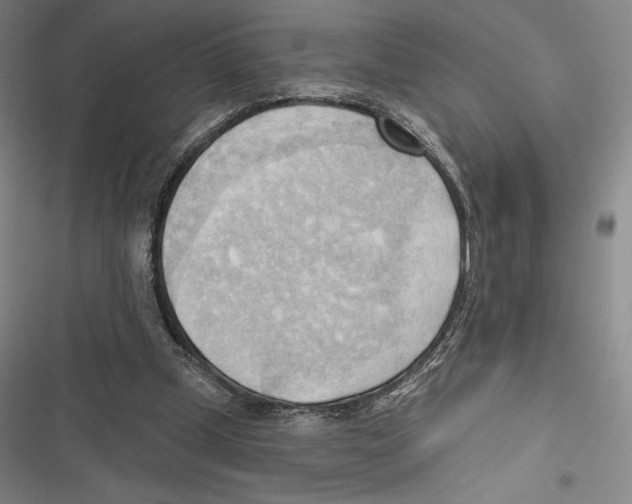 X0000116650249201001111235