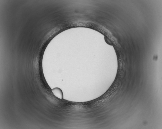 X0000116650250201001111235