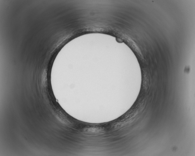 X0000116650251201001111235