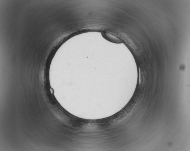 X0000116650252201001111235