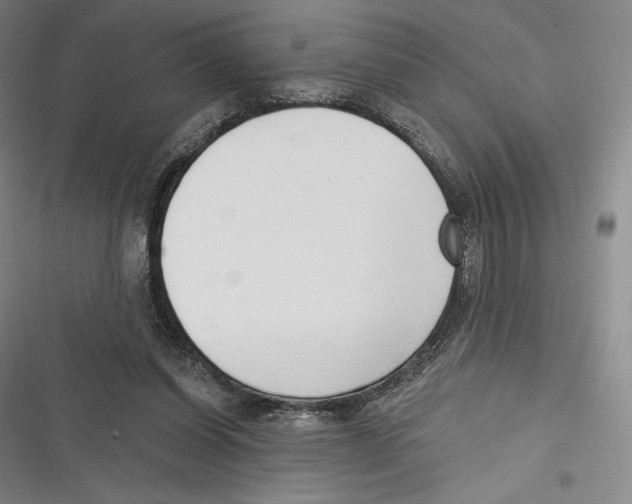 X0000116650254201001111235