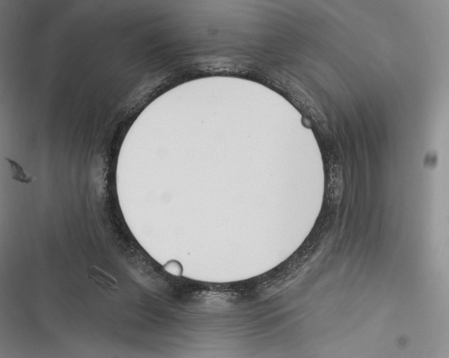X0000116650255201001111235