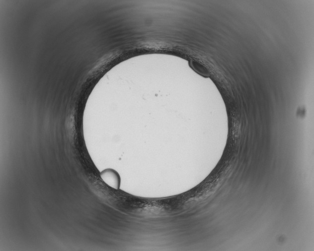 X0000116650256201001111235