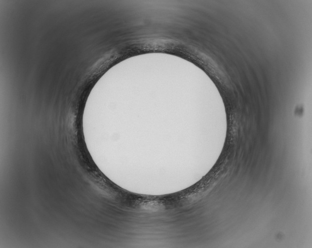 X0000116650258201001111235