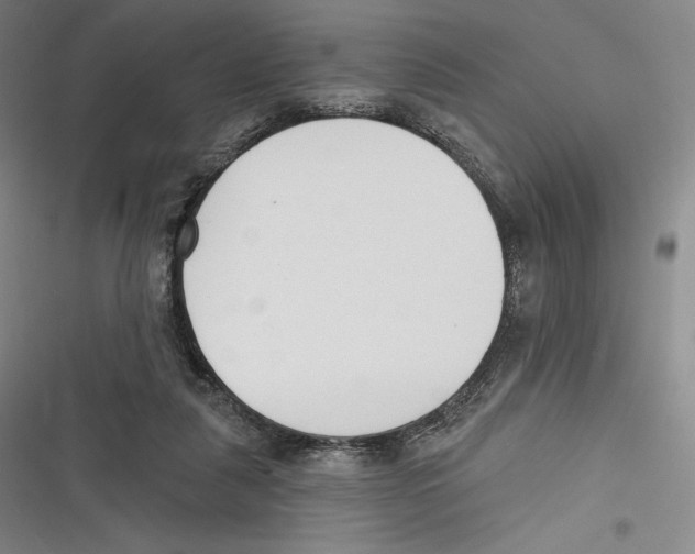 X0000116650259201001111235