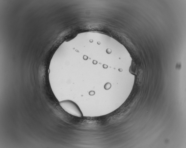 X0000116650260201001111235