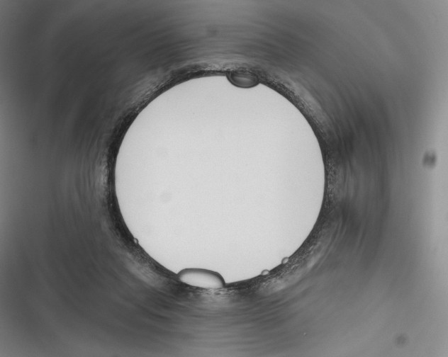 X0000116650261201001111235