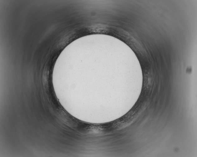X0000116650263201001111235