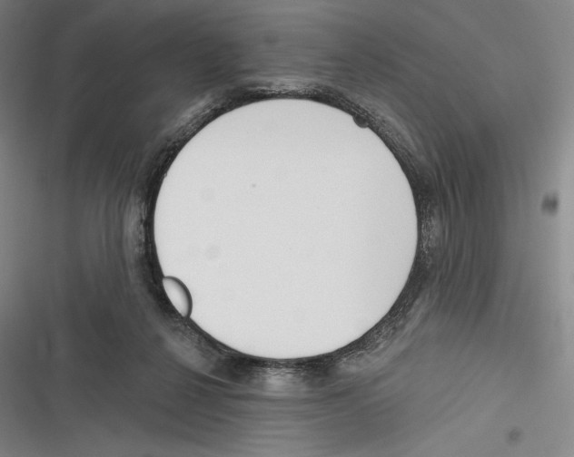 X0000116650264201001111235