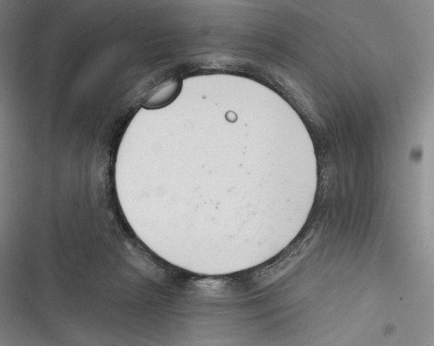 X0000116650265201001111235