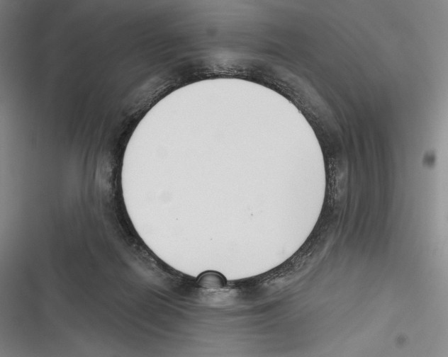 X0000116650266201001111235