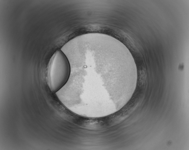 X0000116650267201001111235