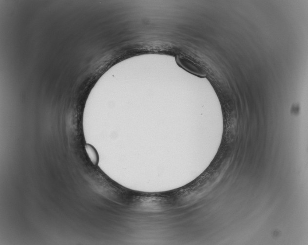 X0000116650268201001111235