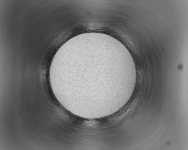 X0000116650269201001111235