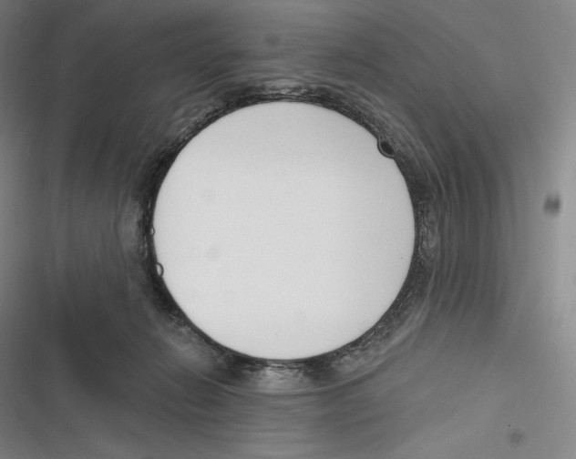 X0000116650270201001111235