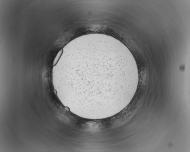 X0000116650272201001111235