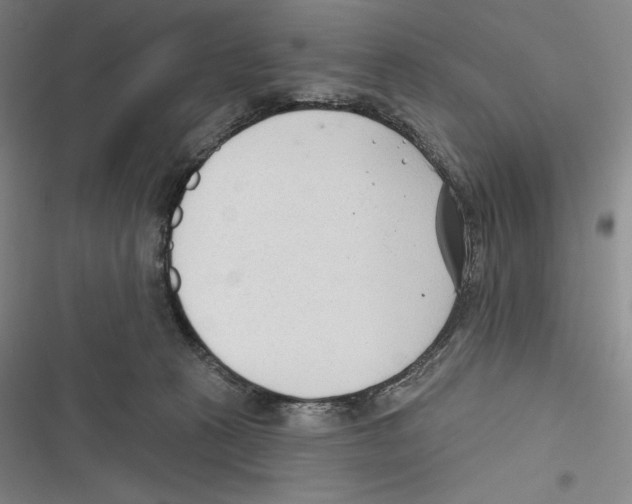 X0000116650273201001111235