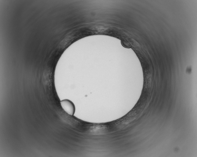 X0000116650274201001111235