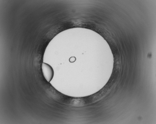 X0000116650275201001111235