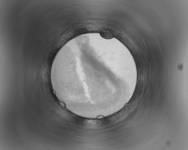 X0000116650277201001111235