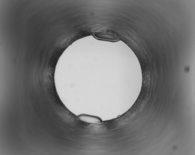 X0000116650280201001111235