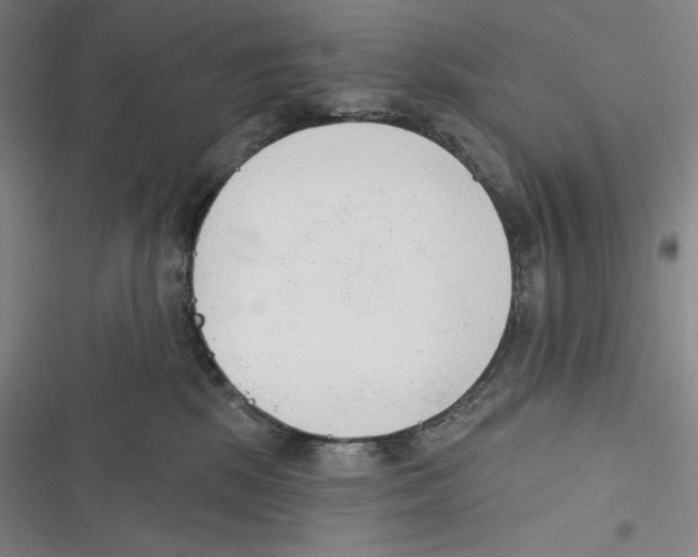 X0000116650281201001111235