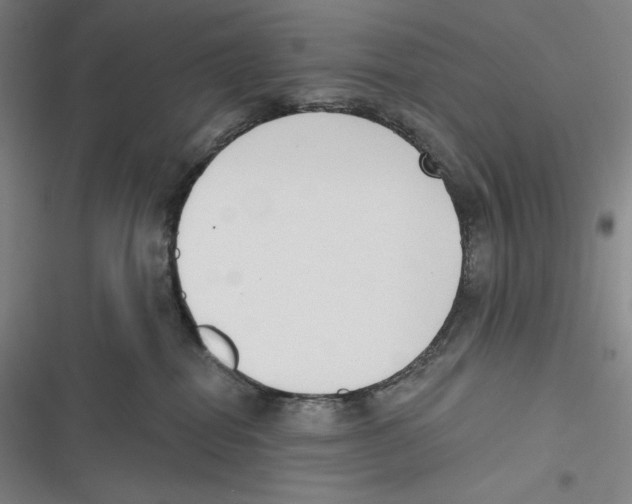 X0000116650282201001111235