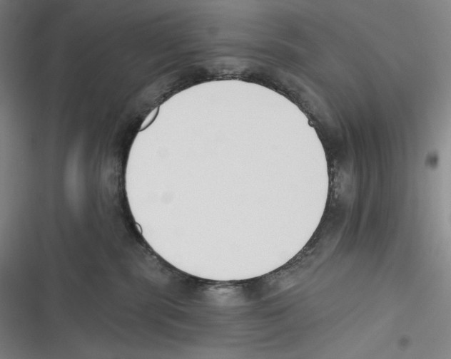X0000116650283201001111235