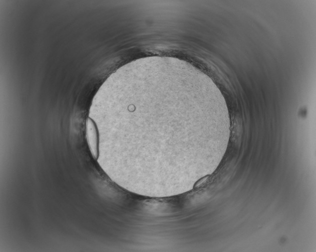 X0000116650284201001111235