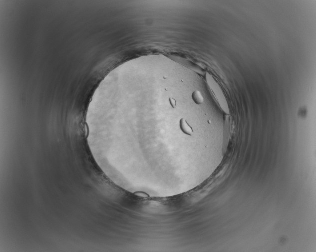 X0000116650285201001111235