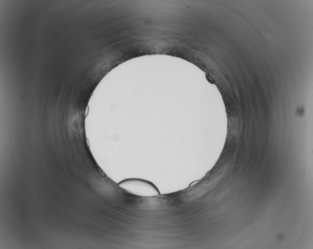 X0000116650286201001111235