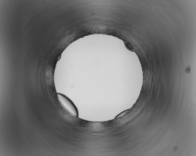 X0000116650287201001111235