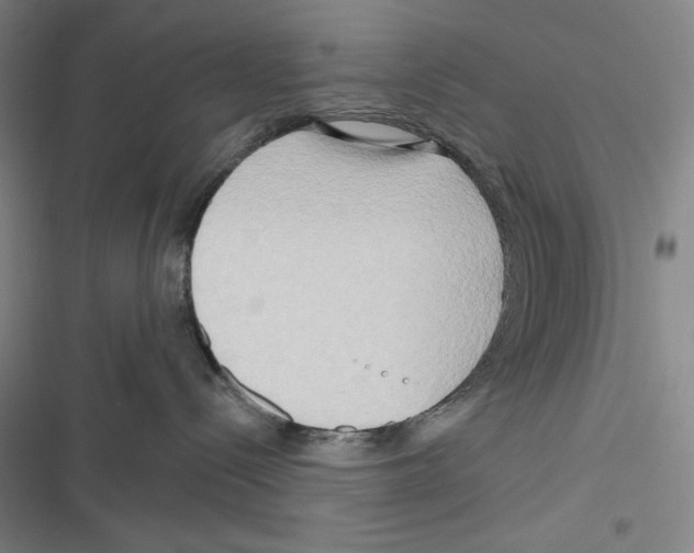 X0000116650288201001111235
