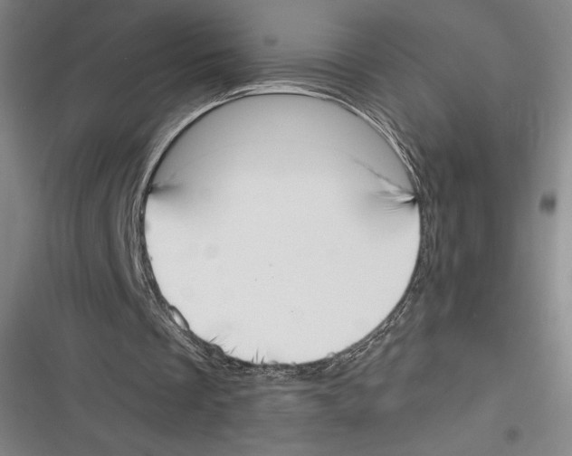 X0000116650289201001111235