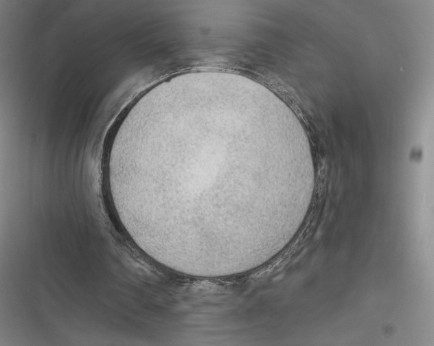X0000116650290201001111235