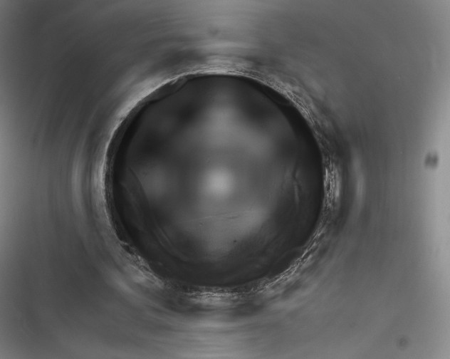 X0000116650292201001111235