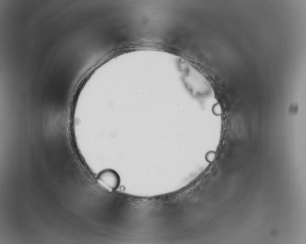 X0000116650293201001111235