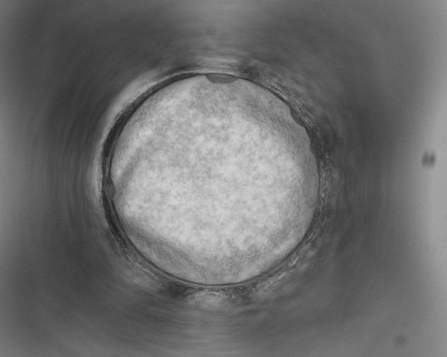 X0000116650294201001111235