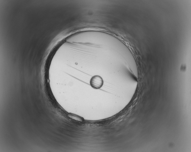 X0000116650296201001111235