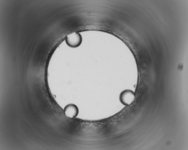 X0000116650297201001111235