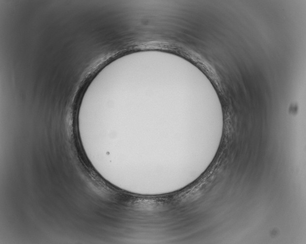 X0000116650298201001111235