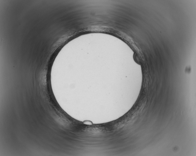 X0000116650299201001111235