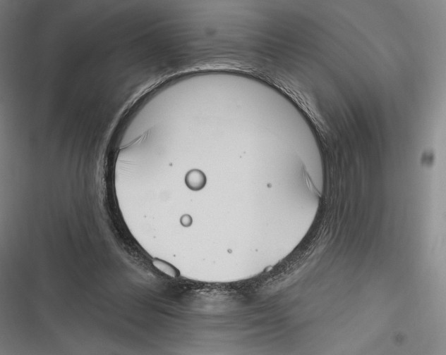 X0000116650300201001111235