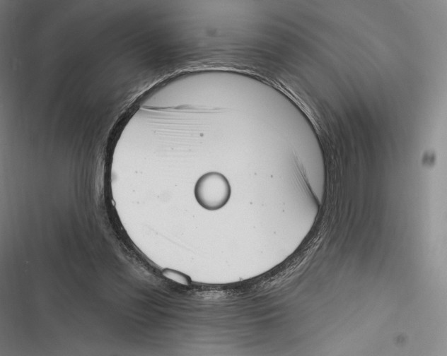 X0000116650301201001111235