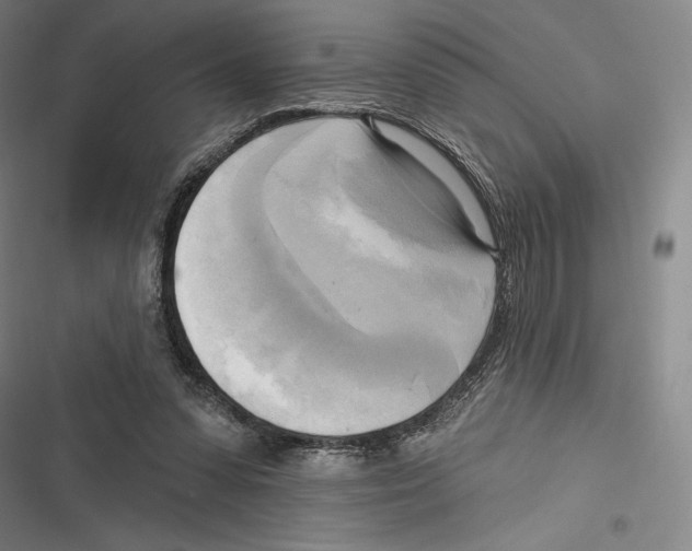 X0000116650303201001111234
